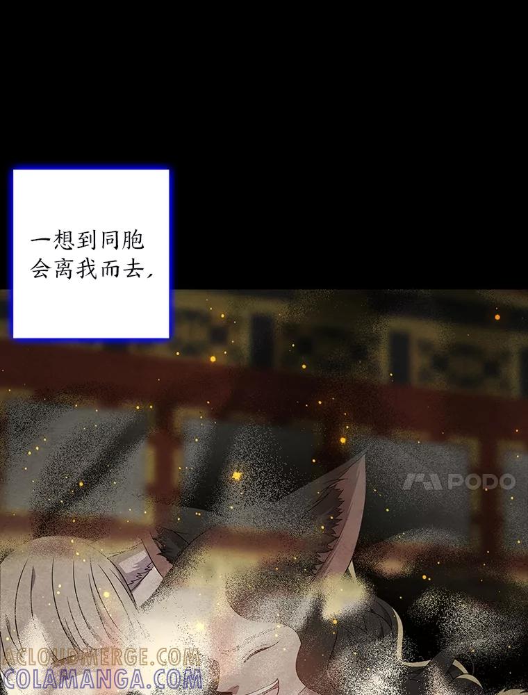 《魅惑狐狸》87.真假示狐 第21页