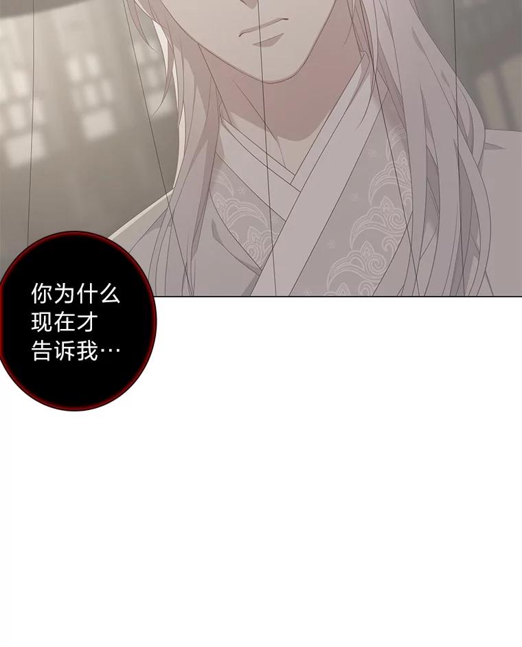 《魅惑狐狸》87.真假示狐 第94页