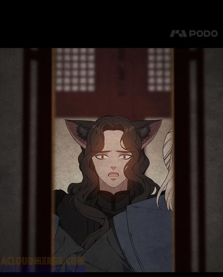 《魅惑狐狸》87.真假示狐 第41页