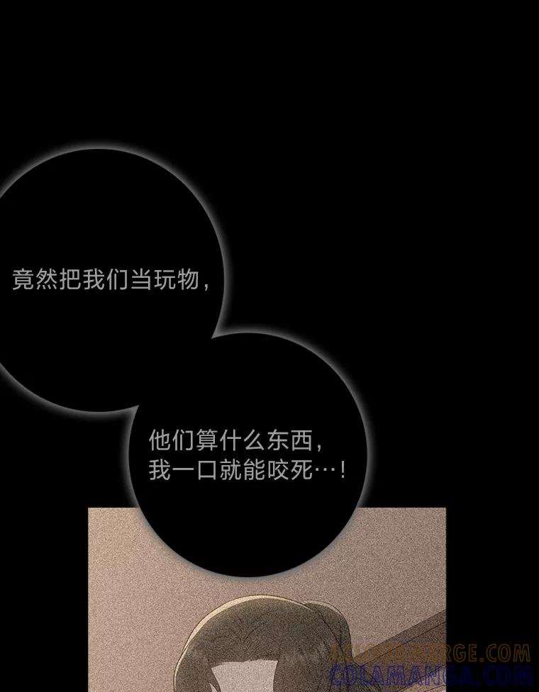 《魅惑狐狸》87.真假示狐 第125页