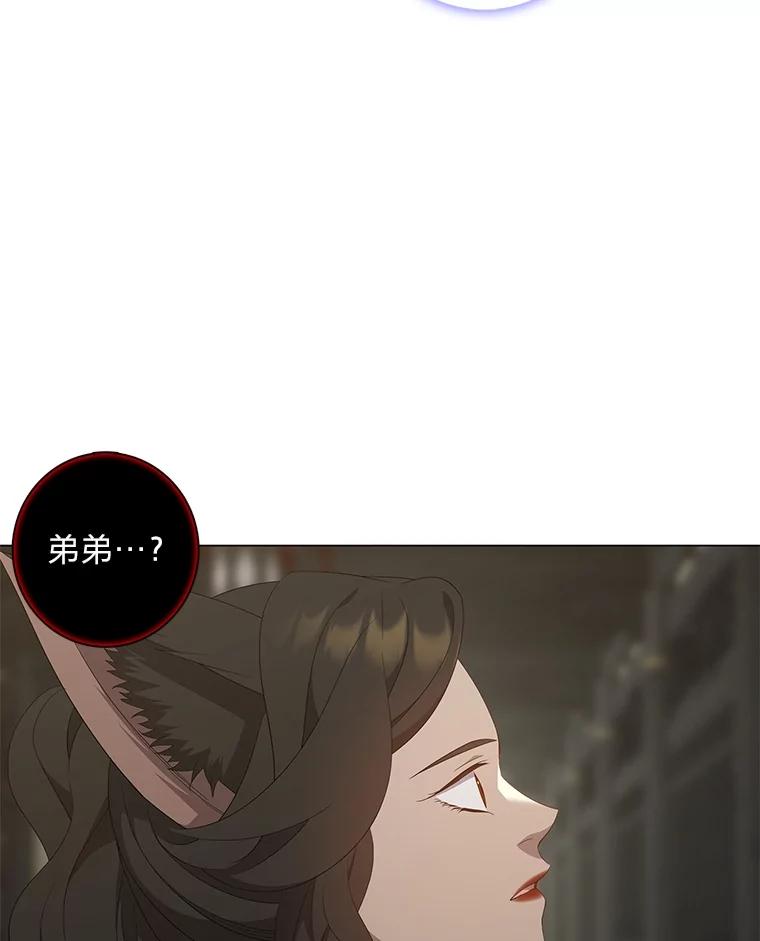 《魅惑狐狸》87.真假示狐 第92页