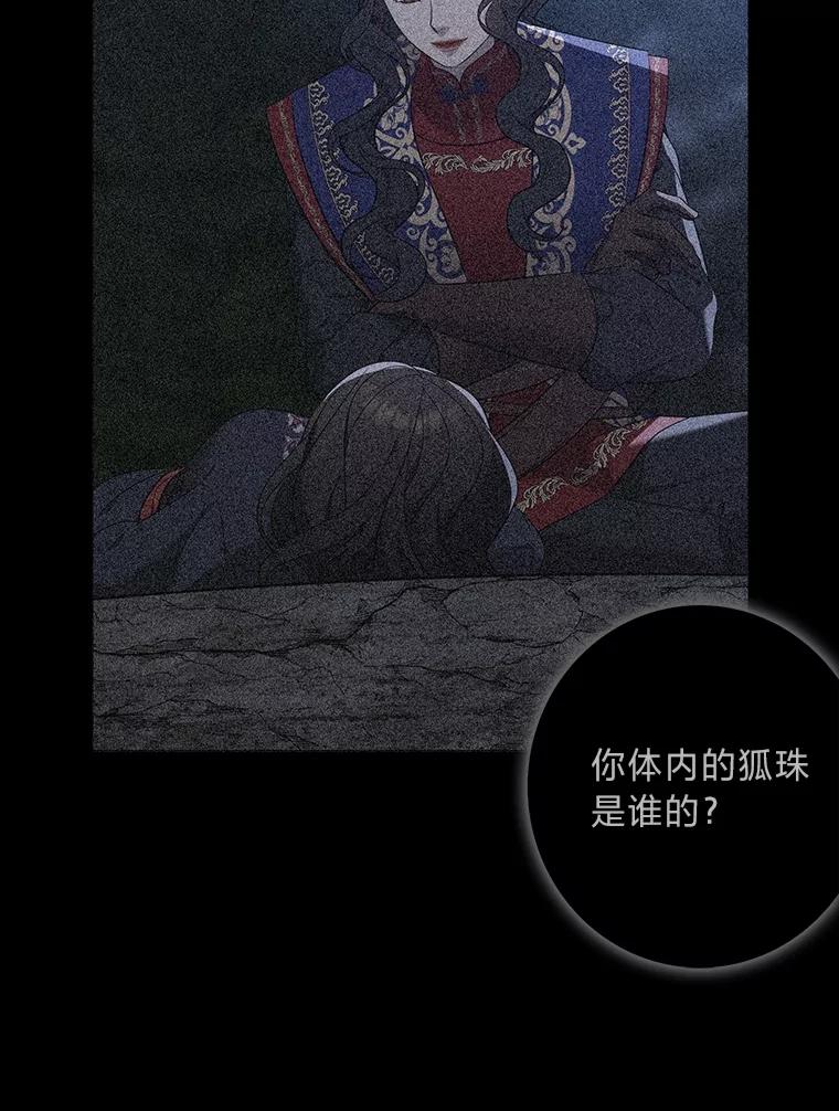 《魅惑狐狸》87.真假示狐 第99页