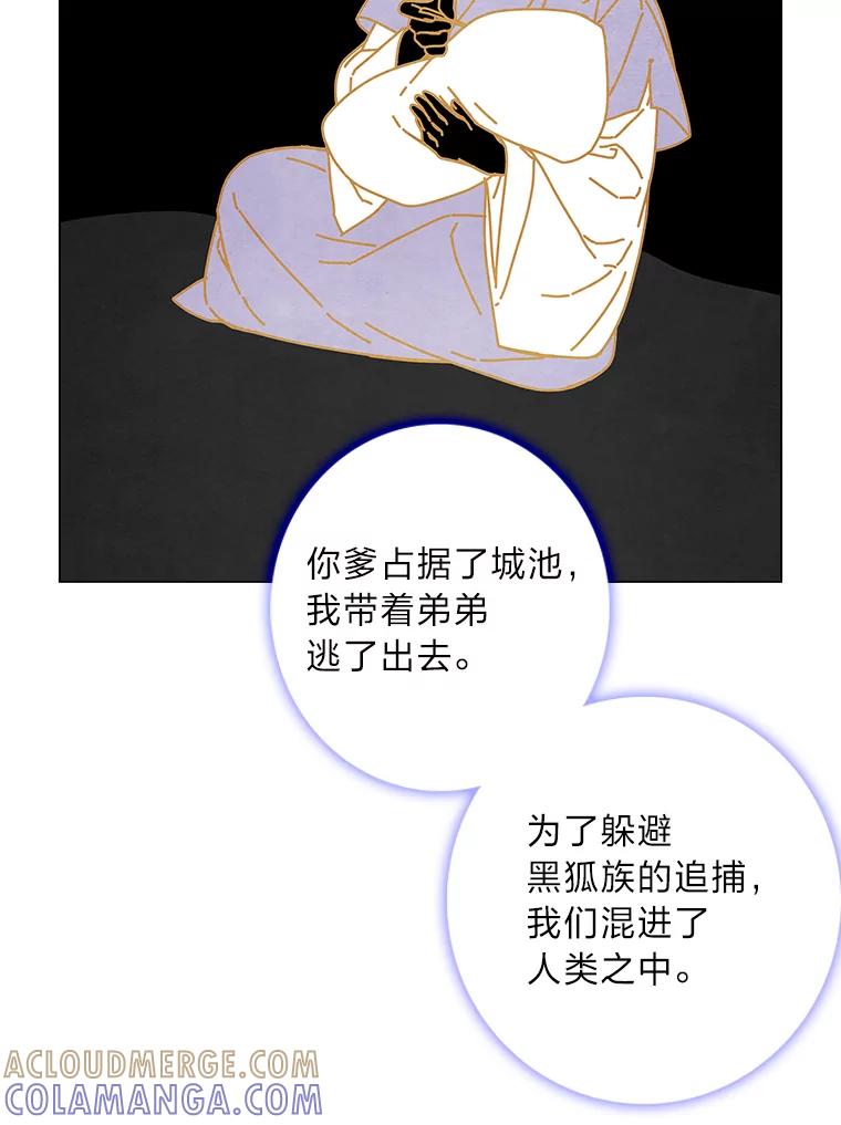 《魅惑狐狸》87.真假示狐 第81页