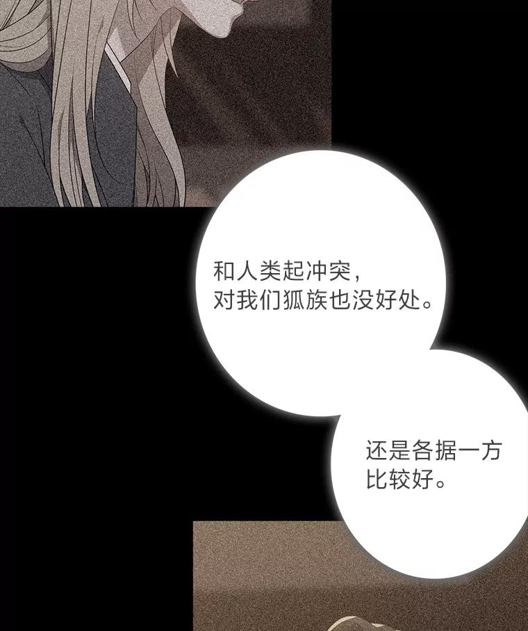 《魅惑狐狸》87.真假示狐 第128页
