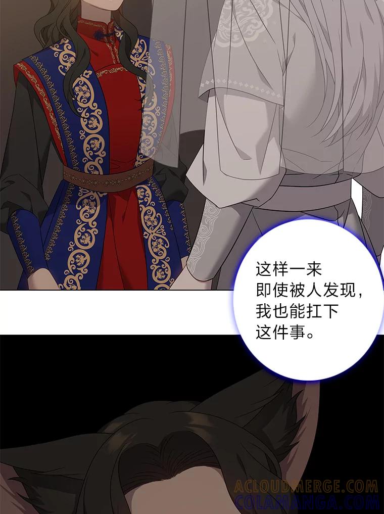 《魅惑狐狸》87.真假示狐 第85页