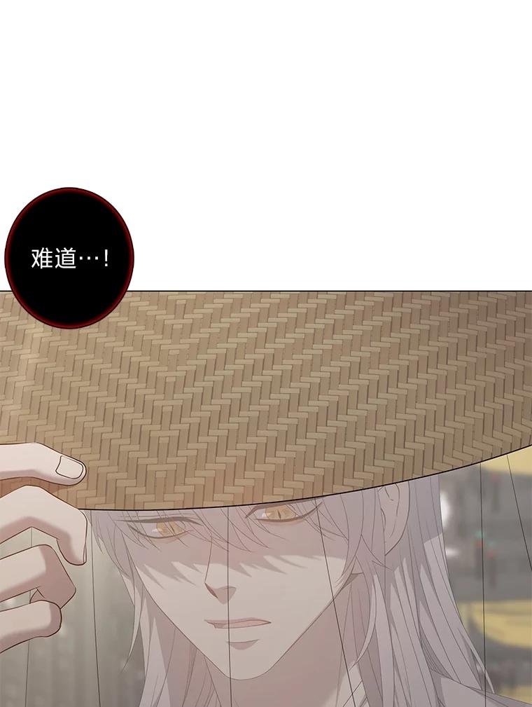《魅惑狐狸》87.真假示狐 第102页