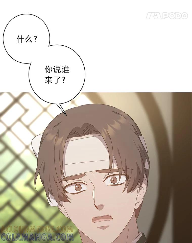 《魅惑狐狸》88.重蹈覆辙 第5页