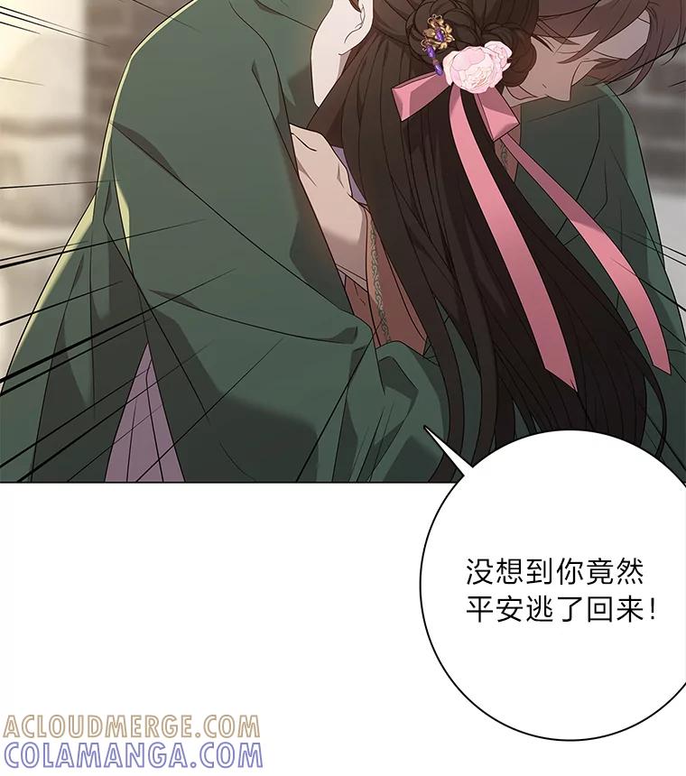 《魅惑狐狸》88.重蹈覆辙 第13页