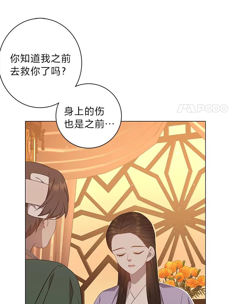 《魅惑狐狸》88.重蹈覆辙 第19页
