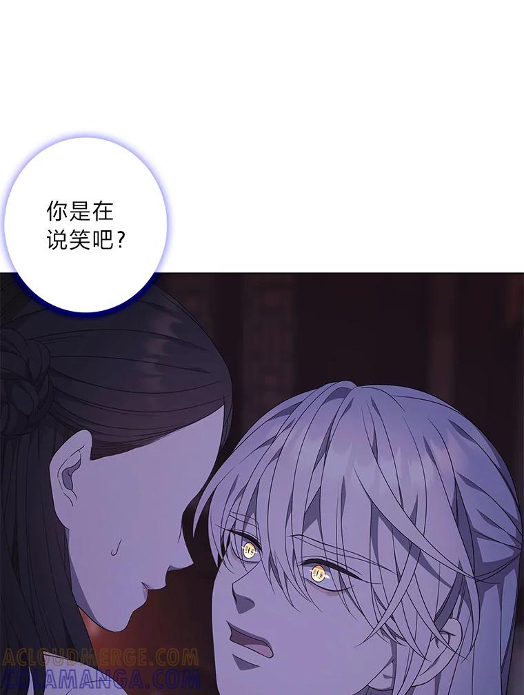 《魅惑狐狸》89.谎话精小姐 第37页