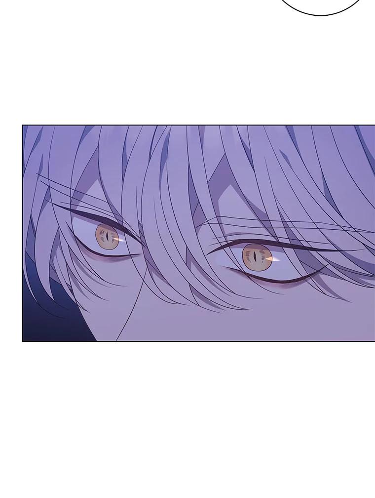 《魅惑狐狸》89.谎话精小姐 第36页