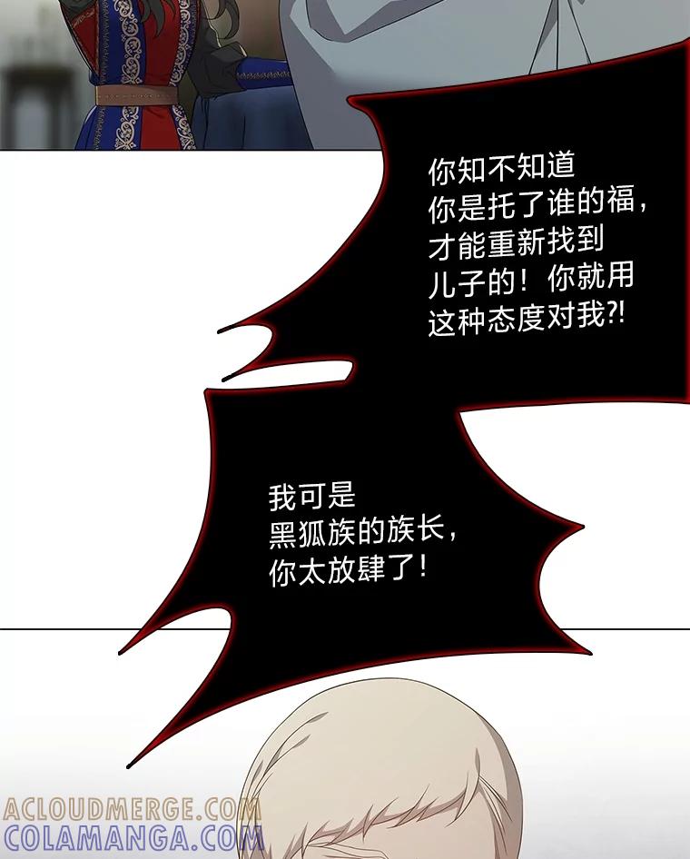 《魅惑狐狸》93.重要的家人 第61页