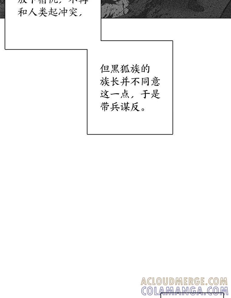 《魅惑狐狸》93.重要的家人 第41页