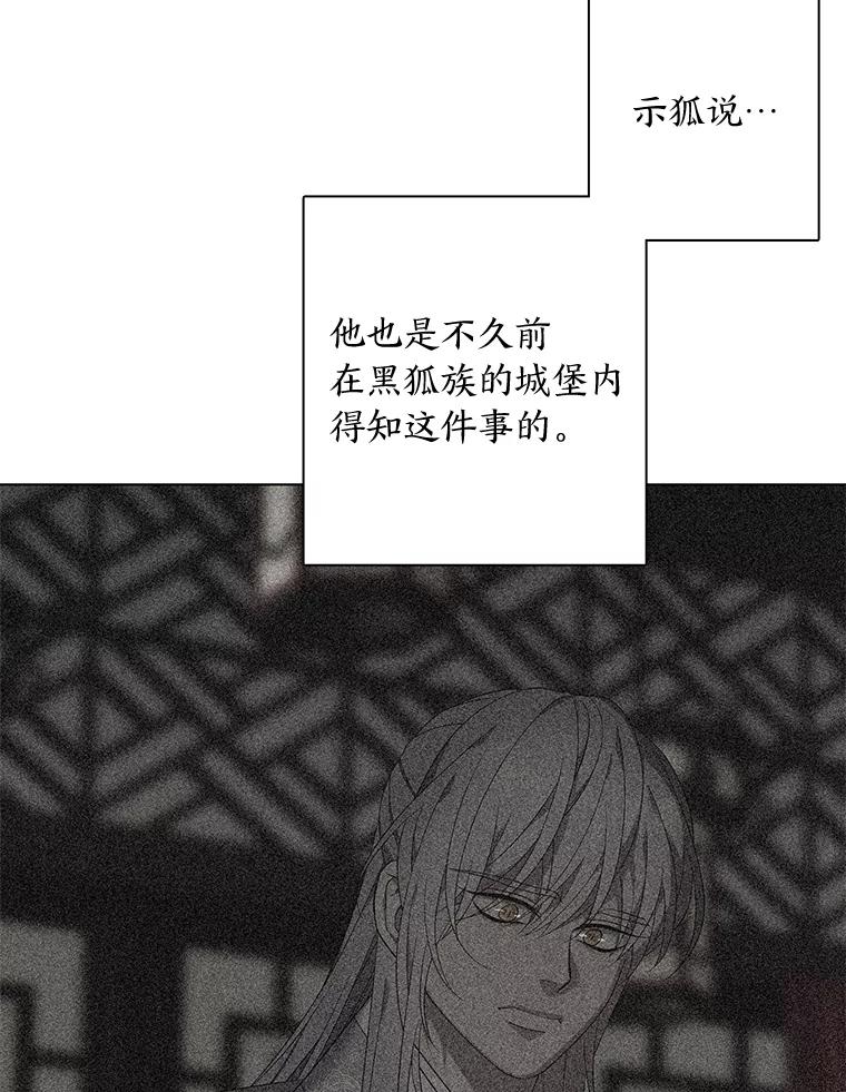 《魅惑狐狸》93.重要的家人 第42页