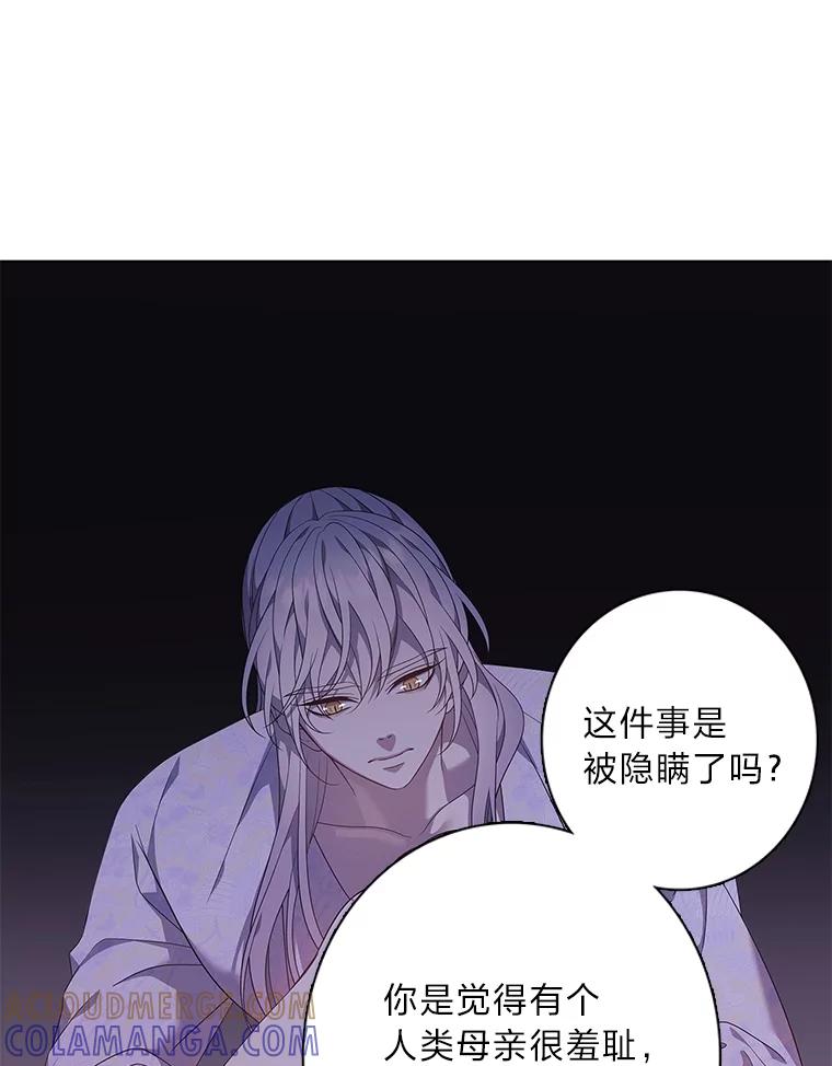 《魅惑狐狸》93.重要的家人 第13页