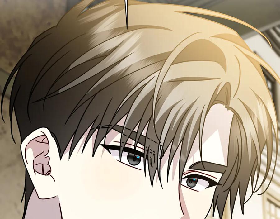 《破茧皇后》第130话 和平幸福长存 第151页