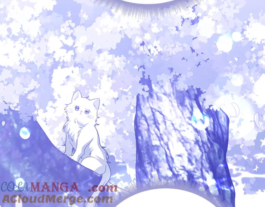 《破茧皇后》番外 第1话 梦里的白猫 第129页