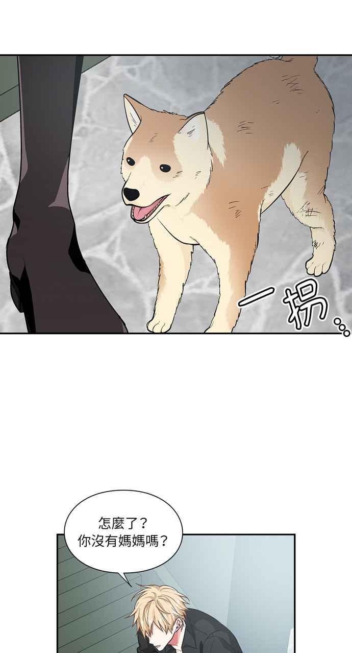 《外科医生爱丽丝》第103话 第30页