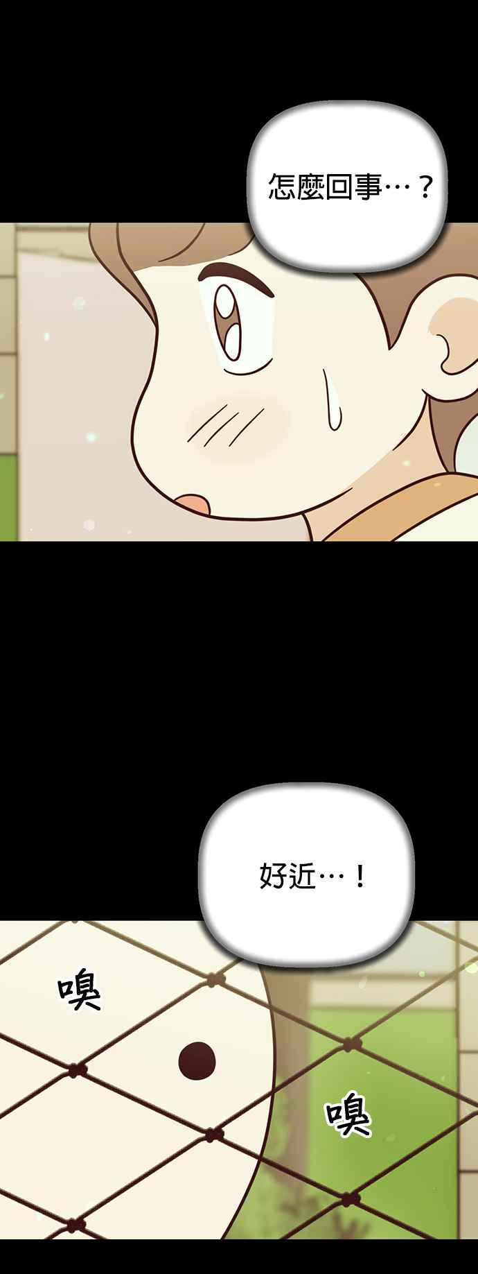 我家妹妹是狗狗 第66话 小丸被告白了 第47页