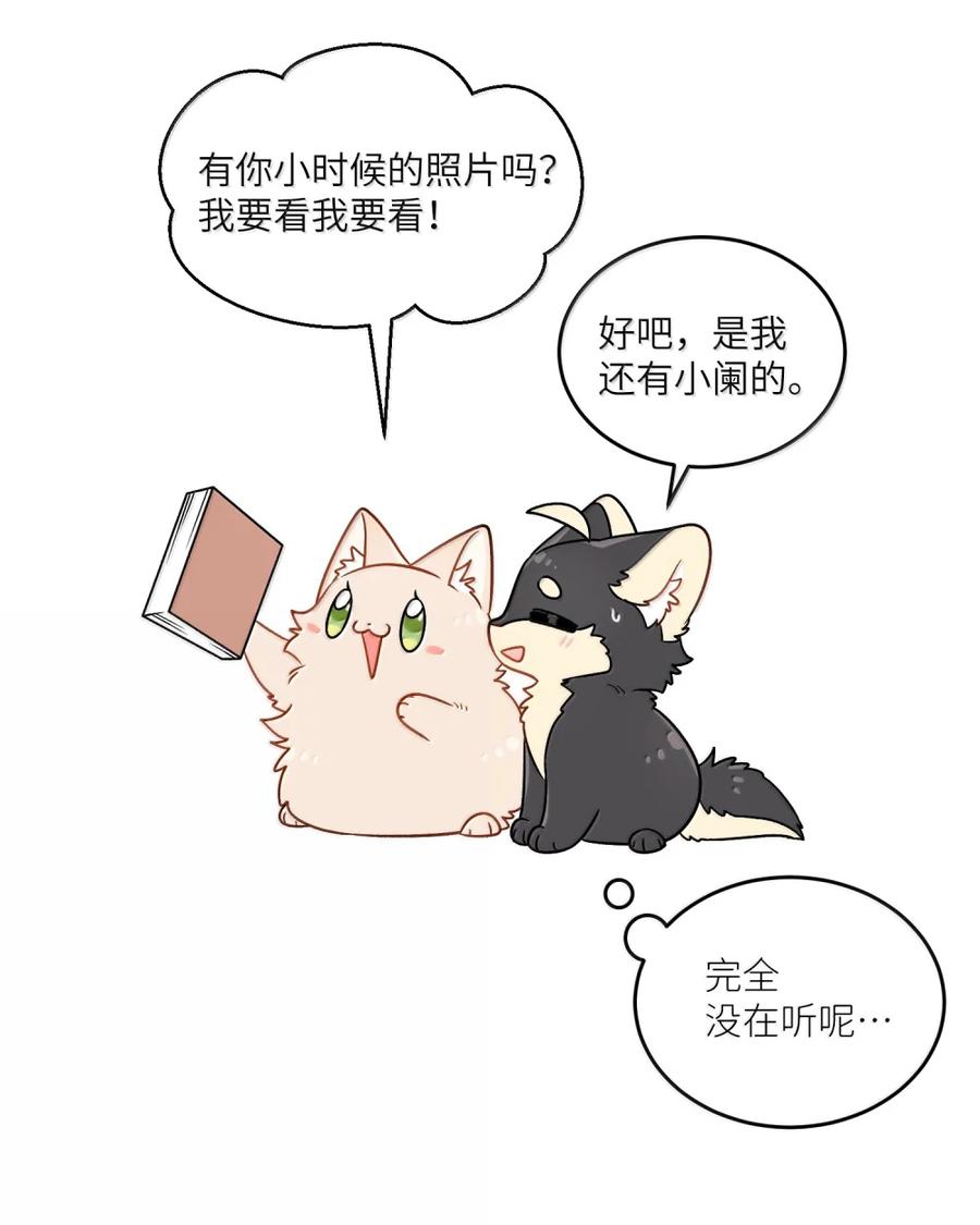 我的食物看起来很可爱 213 小小的她们（评论抽奖） 第11页
