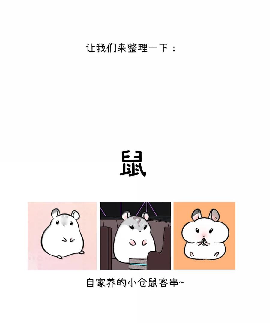 我的食物看起来很可爱 213 小小的她们（评论抽奖） 第51页
