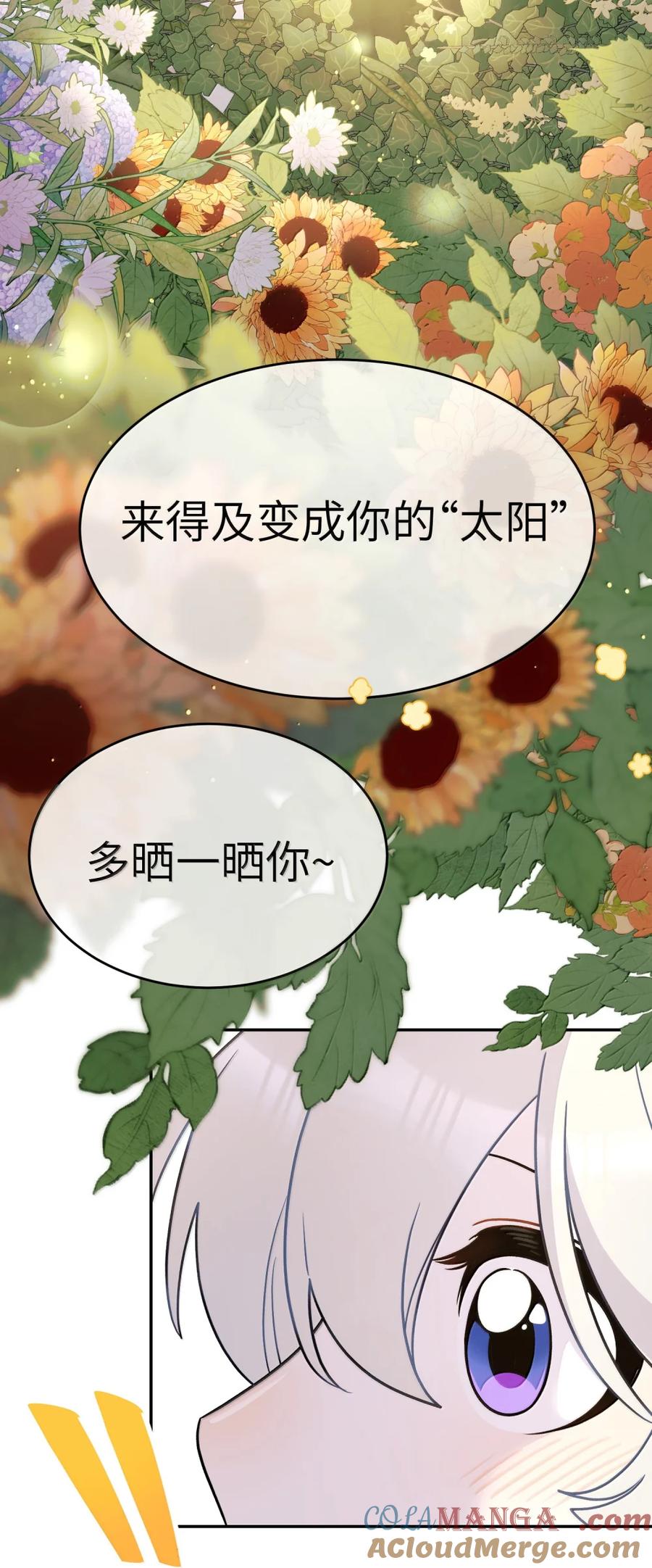 我的食物看起来很可爱 213 小小的她们（评论抽奖） 第37页