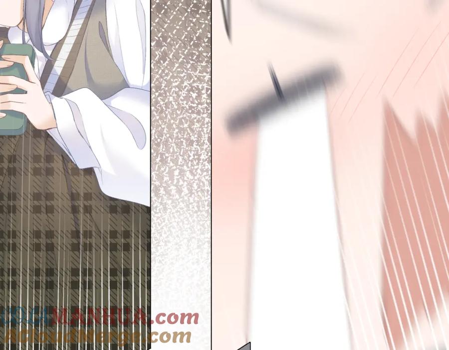 73.jpg