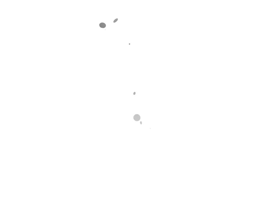 78.jpg