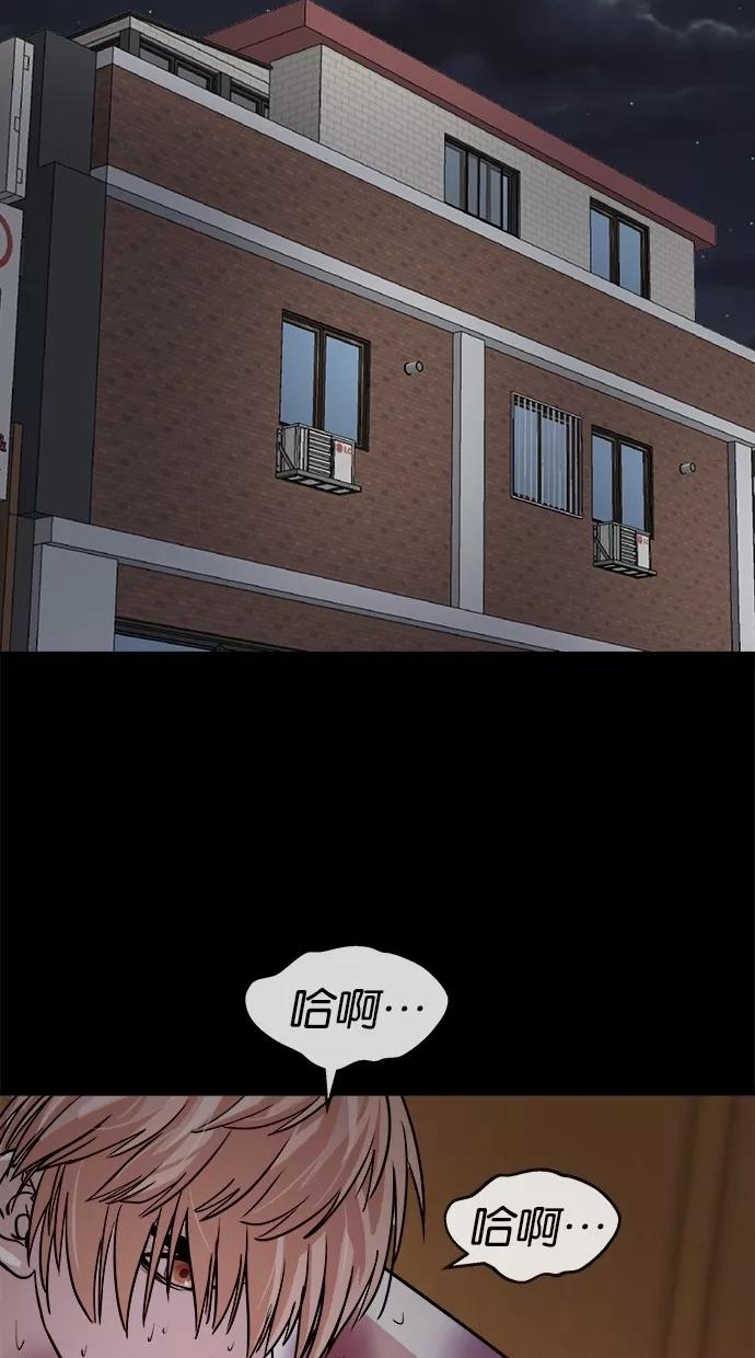 62.jpg
