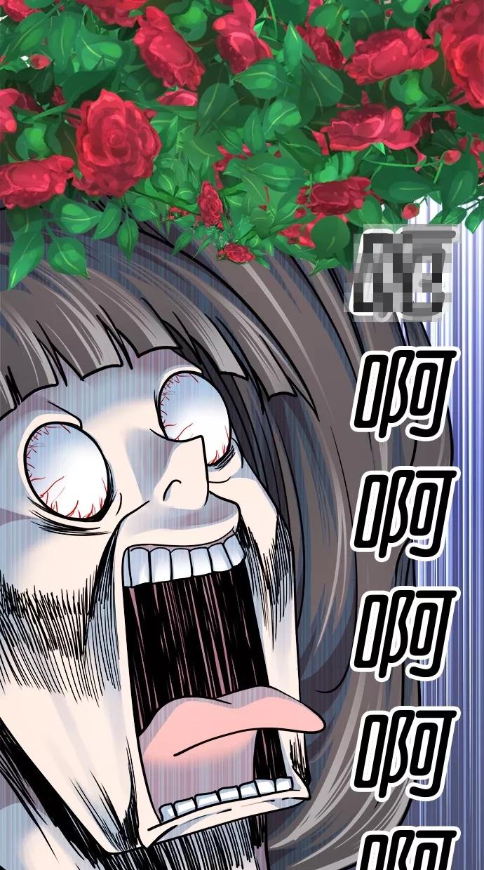 50.jpg