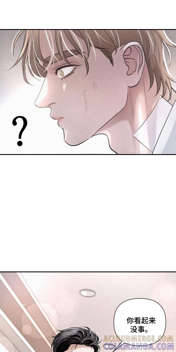 《血液指南》第3章：强行带走 第19页