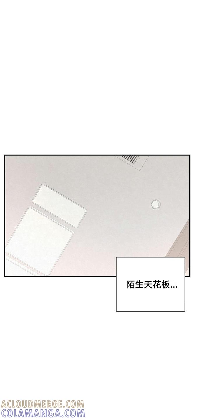 《血液指南》第3章：强行带走 第13页