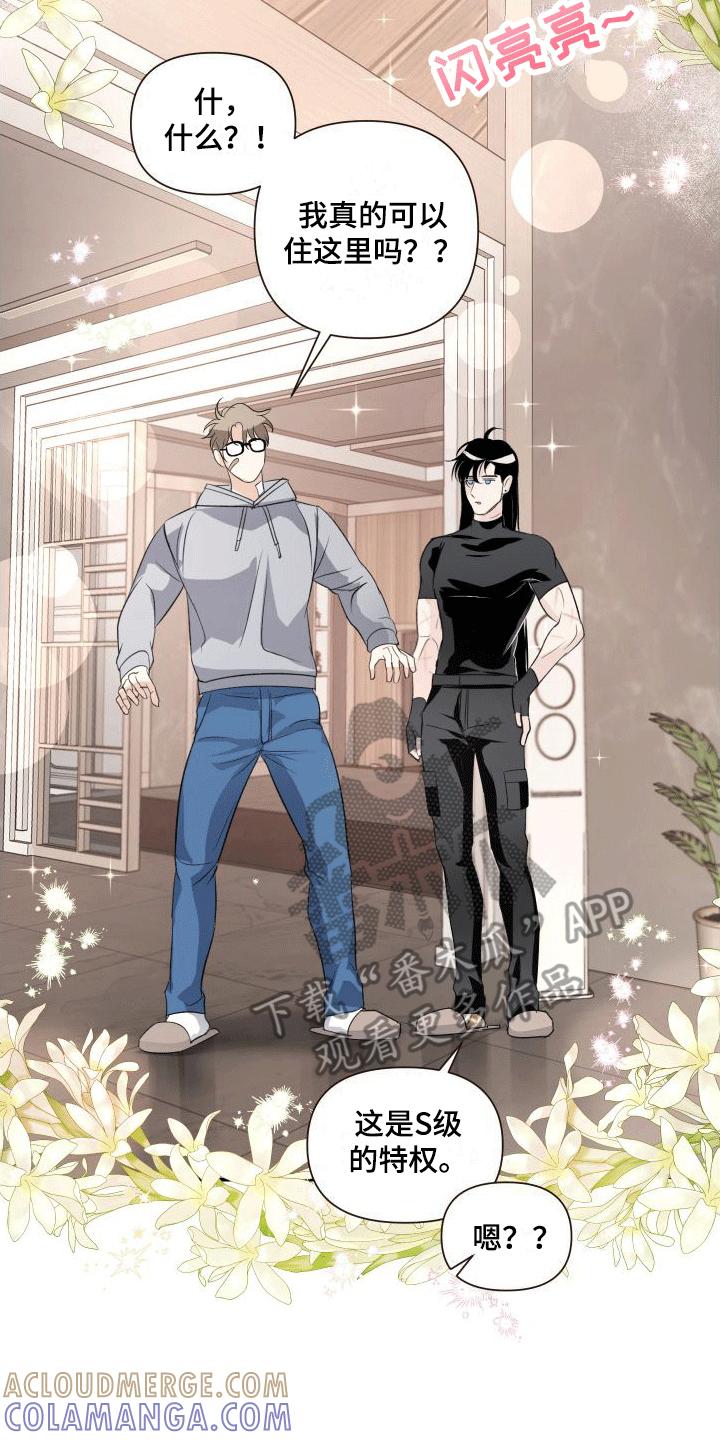 《血液指南》第4章：加入 第19页