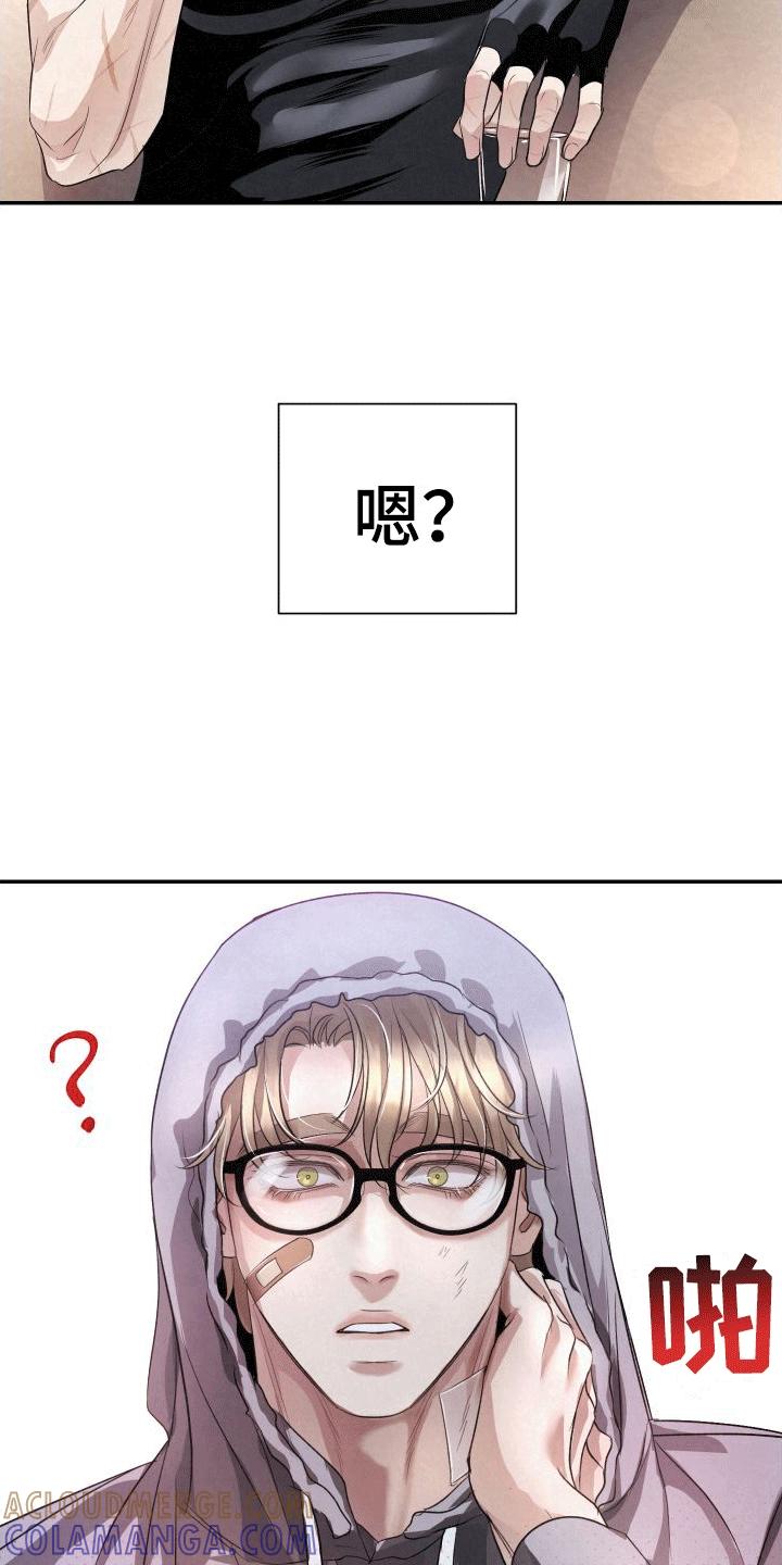 《血液指南》第4章：加入 第29页