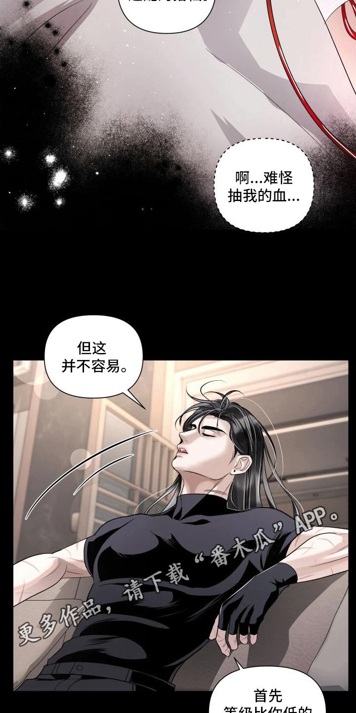 《血液指南》第5章：向导的相关知识 第22页