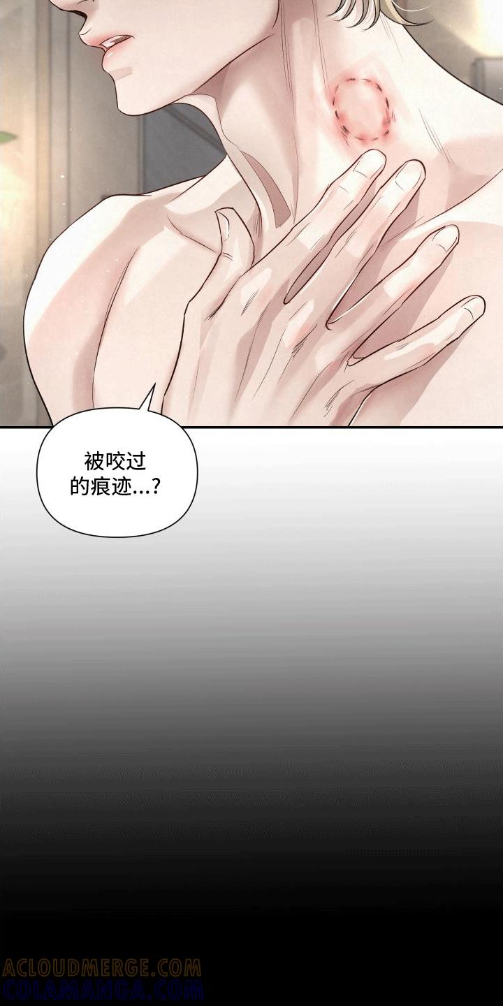 《血液指南》第5章：向导的相关知识 第5页