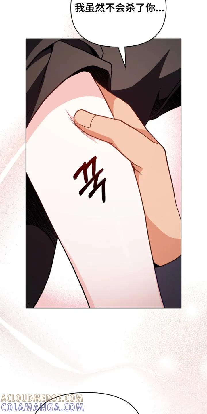 转世白月光 - 第118章：【第二季】我能怎么办 - 第21张图