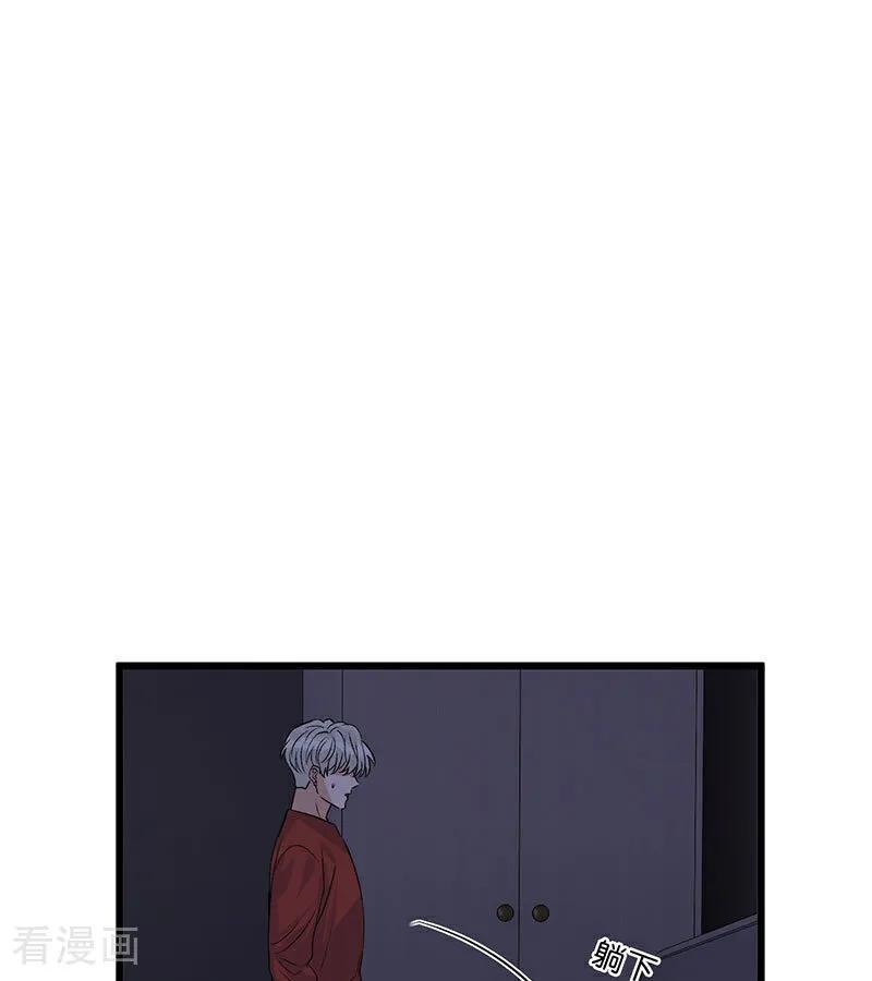 81.jpg