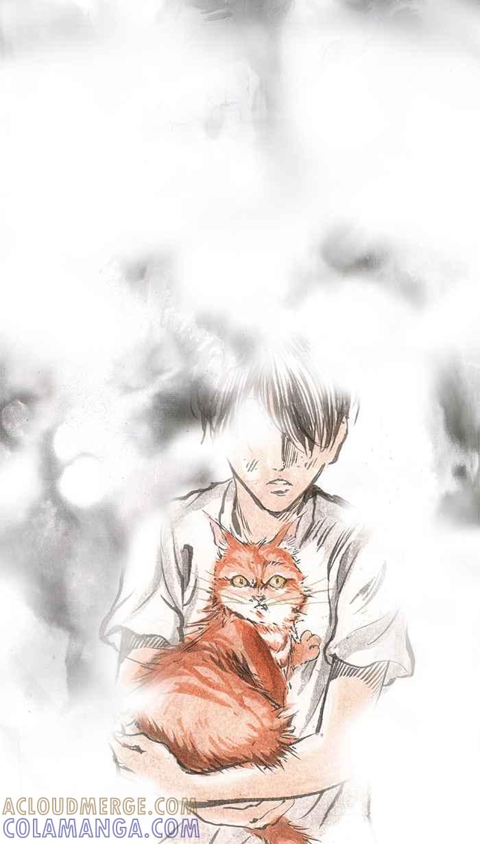 猫剑客 [第71话] 折翼天使 拾肆，垂死 第5页