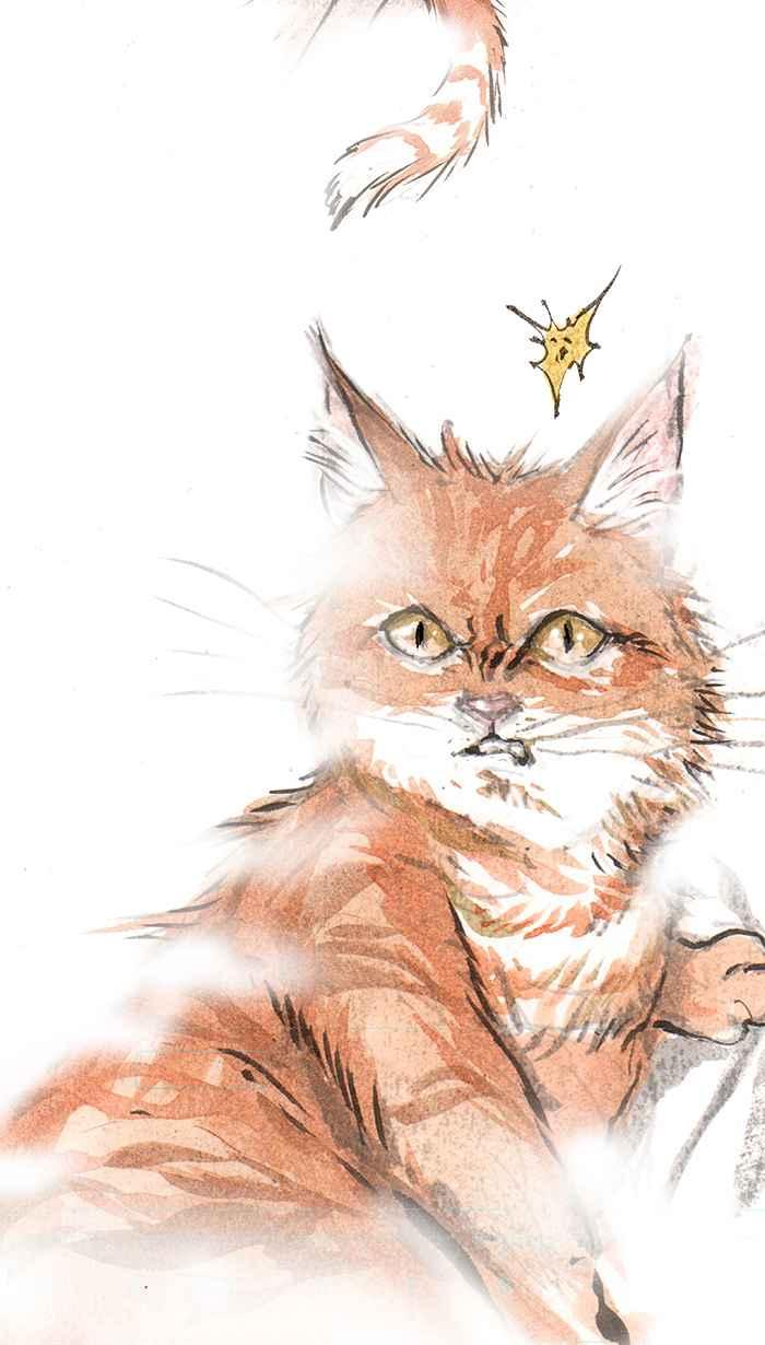 猫剑客 [第71话] 折翼天使 拾肆，垂死 第6页