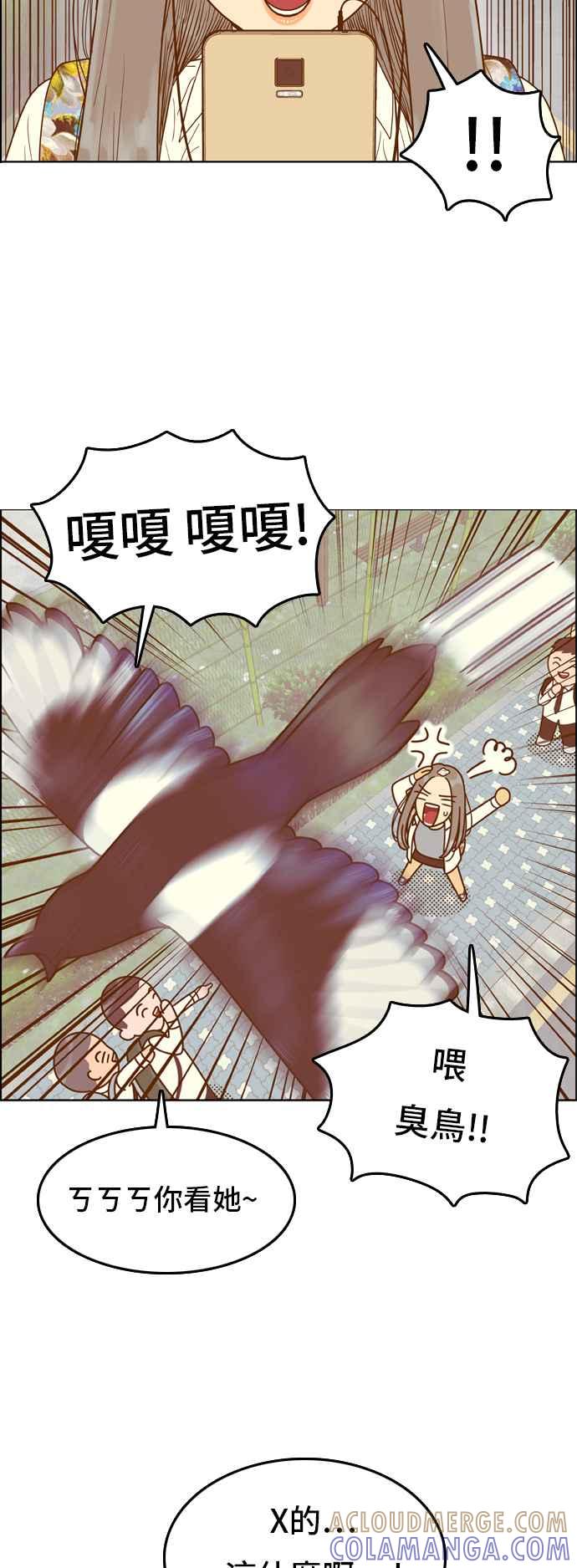 《我的保镳女友》[第141话] 今天的运势 1 第5页