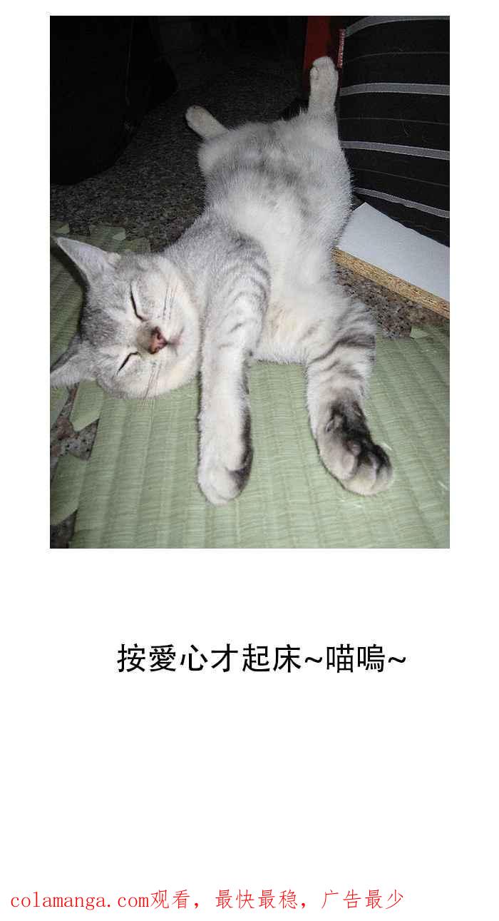 猫剑客 [第61话] 折翼天使 肆，追逐战 第26页