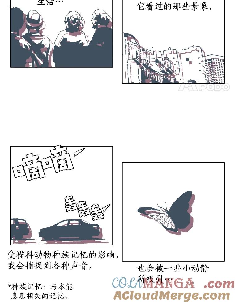 Dr.Brain脑博士 10.不要害怕 第4页
