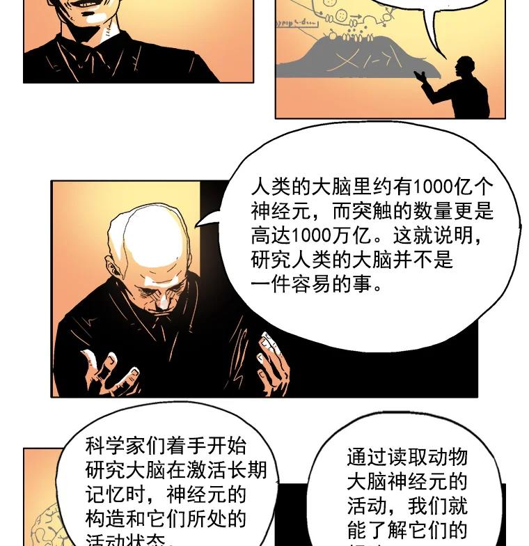 Dr.Brain脑博士 2.疯狂的实验 第12页