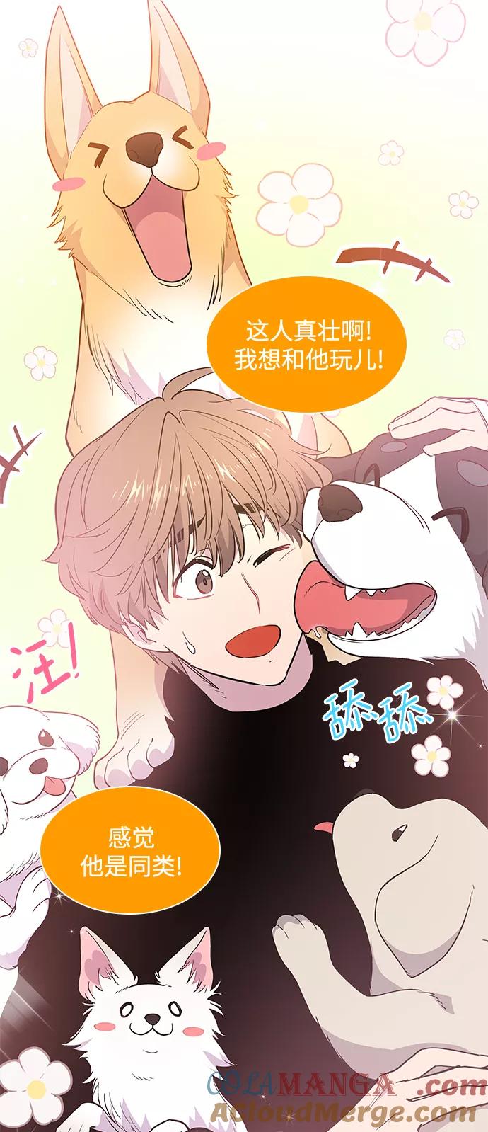 《菲丽亚罗杰-荆棘王冠的预言》[第49话] 荆棘王冠的预言（5） 第31页