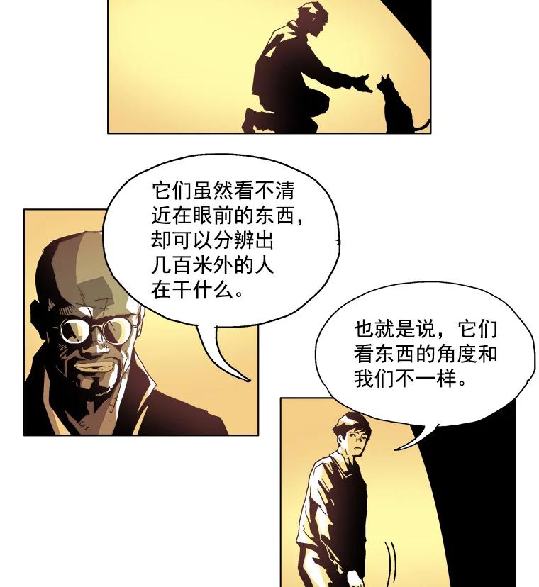Dr.Brain脑博士 6.猫的视角 第44页