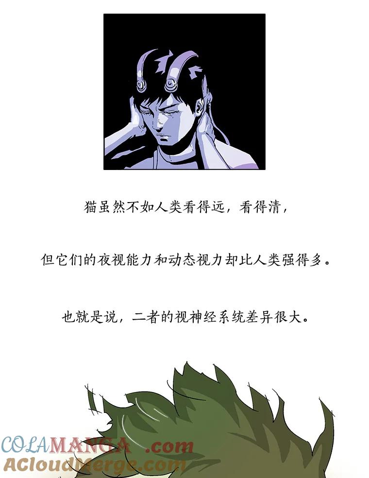 Dr.Brain脑博士 6.猫的视角 第28页