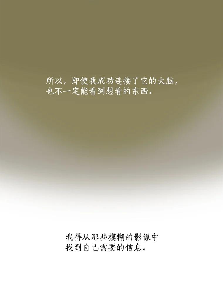 Dr.Brain脑博士 6.猫的视角 第32页