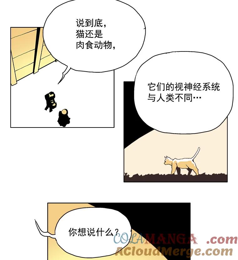 Dr.Brain脑博士 6.猫的视角 第43页