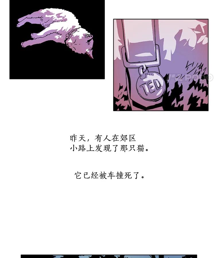 Dr.Brain脑博士 6.猫的视角 第24页